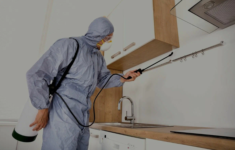 Castaic pest managment